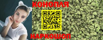 гидра Комсомольск-на-Амуре