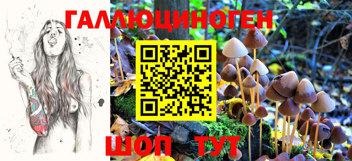 Псилоцибиновые грибы Magic Shrooms Коломна