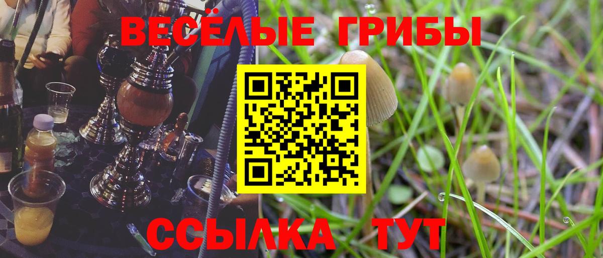 Псилоцибиновые грибы прущие грибы  магазин  наркотиков  Галлюциногенные грибы Cubensis  Коломна  Вход с VPN 